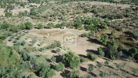 Terreno para Venda em Monforte da Beira