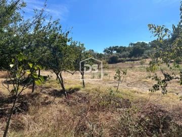 Terreno para Venda em Monforte da Beira
