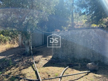 Terreno para Venda em Monforte da Beira