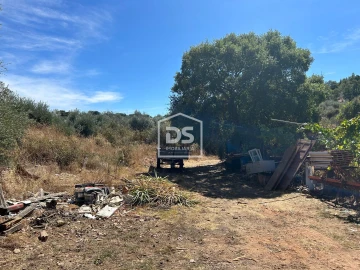 Terreno para Venda em Monforte da Beira