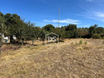 Terreno para Venda em Monforte da Beira