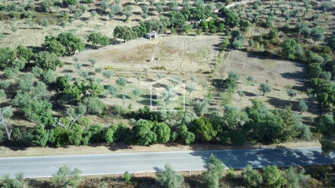 Terreno para Venda em Monforte da Beira