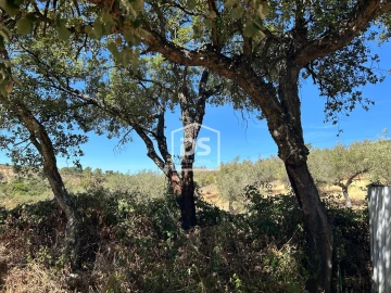 Terreno para Venda em Monforte da Beira