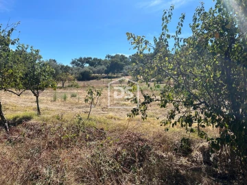 Terreno para Venda em Monforte da Beira