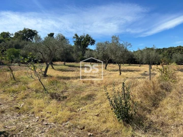 Terreno para Venda em Monforte da Beira