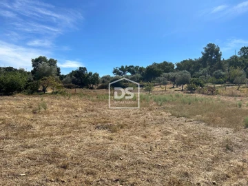 Terreno para Venda em Monforte da Beira