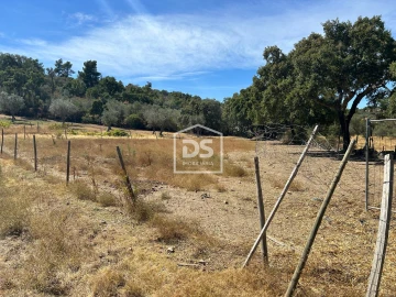 Terreno para Venda em Monforte da Beira