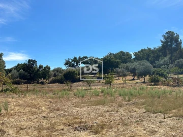 Terreno para Venda em Monforte da Beira