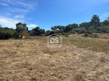 Terreno para Venda em Monforte da Beira