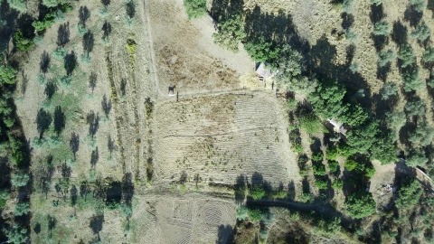 Terreno para Venda em Monforte da Beira