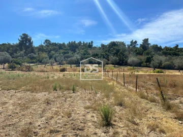 Terreno para Venda em Monforte da Beira