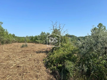 Terreno para Venda em Ninho do Açor e Sobral do Campo
