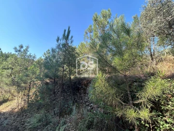 Terreno para Venda em Ninho do Açor e Sobral do Campo