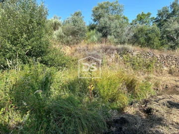Terreno para Venda em Ninho do Açor e Sobral do Campo