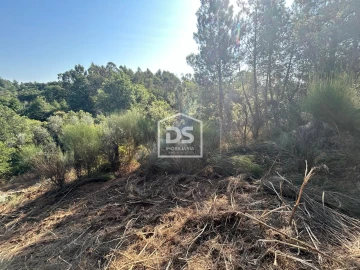 Terreno para Venda em Ninho do Açor e Sobral do Campo