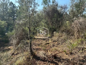 Terreno para Venda em Ninho do Açor e Sobral do Campo