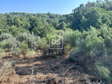 Terreno para Venda em Ninho do Açor e Sobral do Campo