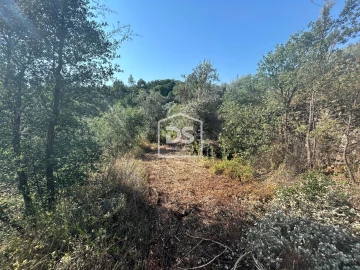 Terreno para Venda em Ninho do Açor e Sobral do Campo