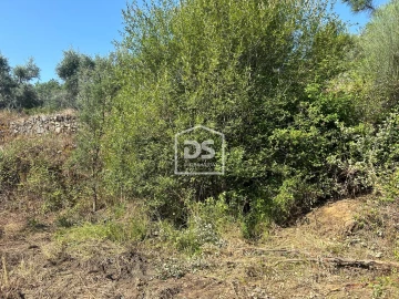 Terreno para Venda em Ninho do Açor e Sobral do Campo