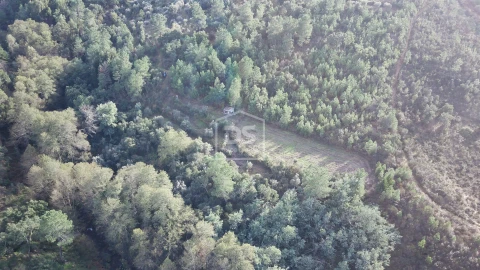 Terreno para Venda em Ninho do Açor e Sobral do Campo