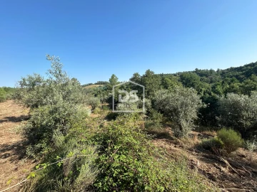 Terreno para Venda em Ninho do Açor e Sobral do Campo