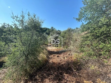 Terreno para Venda em Ninho do Açor e Sobral do Campo