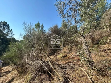 Terreno para Venda em Ninho do Açor e Sobral do Campo