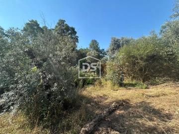 Terreno para Venda em Ninho do Açor e Sobral do Campo