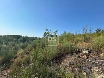 Terreno para Venda em Ninho do Açor e Sobral do Campo