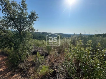Terreno para Venda em Ninho do Açor e Sobral do Campo