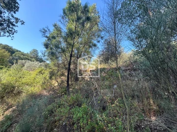 Terreno para Venda em Ninho do Açor e Sobral do Campo