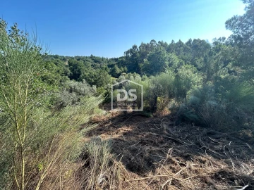 Terreno para Venda em Ninho do Açor e Sobral do Campo