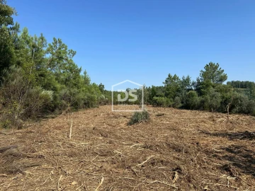 Terreno para Venda em Ninho do Açor e Sobral do Campo