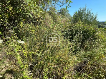 Terreno para Venda em Ninho do Açor e Sobral do Campo
