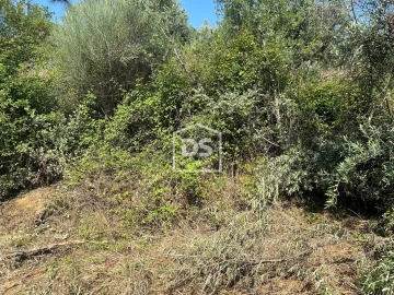 Terreno para Venda em Ninho do Açor e Sobral do Campo