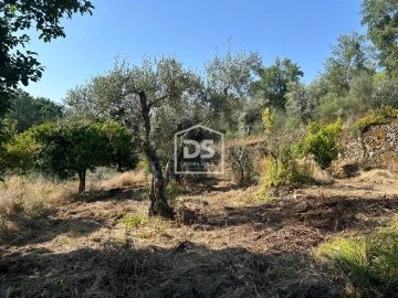 Terreno para Venda em Ninho do Açor e Sobral do Campo