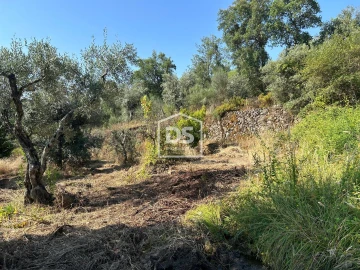 Terreno para Venda em Ninho do Açor e Sobral do Campo