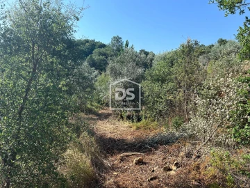 Terreno para Venda em Ninho do Açor e Sobral do Campo