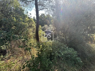 Terreno para Venda em Ninho do Açor e Sobral do Campo