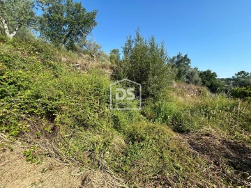 Terreno para Venda em Ninho do Açor e Sobral do Campo