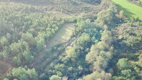 Terreno para Venda em Ninho do Açor e Sobral do Campo