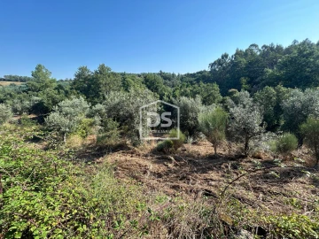 Terreno para Venda em Ninho do Açor e Sobral do Campo