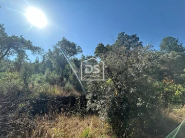 Terreno para Venda em Ninho do Açor e Sobral do Campo