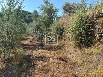Terreno para Venda em Ninho do Açor e Sobral do Campo