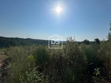 Terreno para Venda em Ninho do Açor e Sobral do Campo