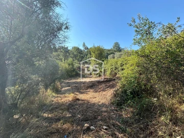 Terreno para Venda em Ninho do Açor e Sobral do Campo