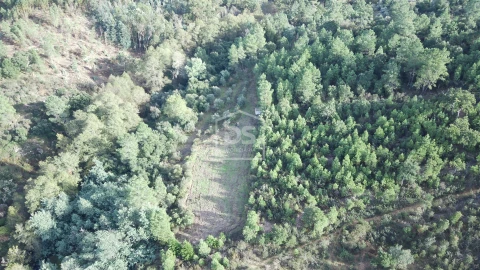 Terreno para Venda em Ninho do Açor e Sobral do Campo