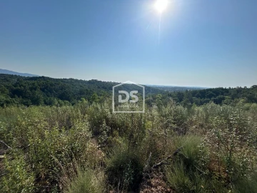 Terreno para Venda em Ninho do Açor e Sobral do Campo