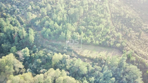 Terreno para Venda em Ninho do Açor e Sobral do Campo