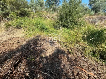 Terreno para Venda em Ninho do Açor e Sobral do Campo